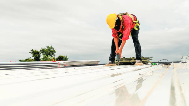 Steel Roofing in Kearney Park, MS